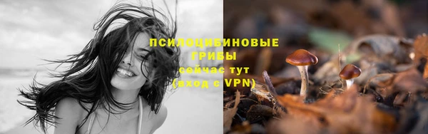 не бодяженный Заводоуковск